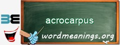 WordMeaning blackboard for acrocarpus